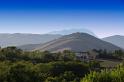 IMG_1154 copy